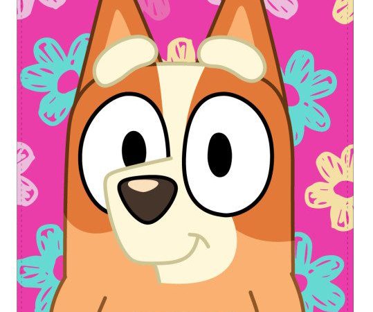 Πετσέτα μπάνιου Bluey Bingo, πετσέτα θαλάσσης 70x140cm (Γρήγορο στέγνωμα)