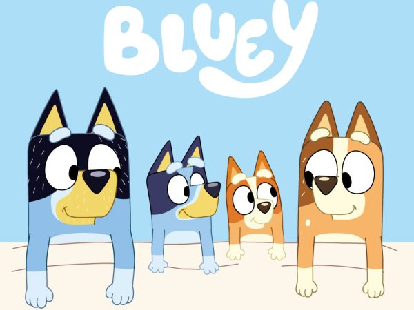 Bluey Cozy πετσέτα χεριών, πανί προσώπου, πετσέτα 30x30 cm