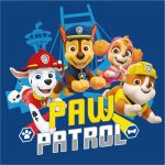 Πετσέτα χεριών Paw Patrol Team, πετσέτα προσώπου, πετσέτα 30x30cm
