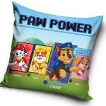 Μαξιλαροθήκη Paw Patrol 40*40 εκ.