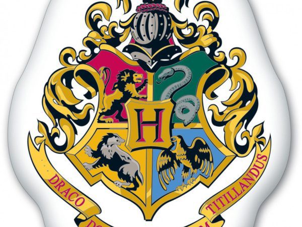 Διακοσμητικό μαξιλάρι Χάρι Πότερ 35*37 εκ.