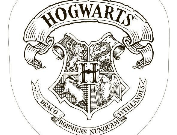 Διακοσμητικό μαξιλάρι Χάρι Πότερ 34*36 εκ.