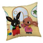 Μαξιλαροθήκη Bing 40x40 εκ