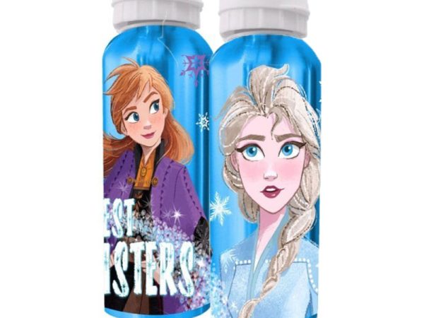 Αλουμινένιο μπουκάλι νερού Disney Frozen Sisters 500 ml