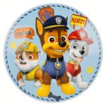 Σετ σερβίτσιων από πορσελάνη Paw Patrol Boy Icons σε κουτί δώρου - Image 3