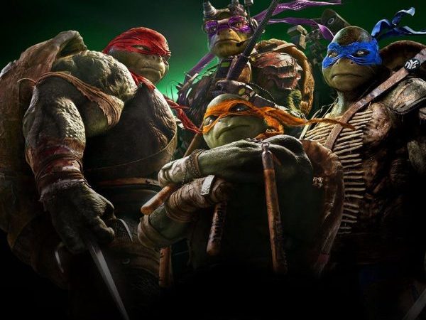 Χελωνονιτζάκια