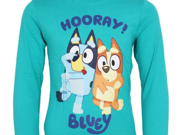 Bluey, Bingo! Bluey παιδικό μακρύ μπλουζάκι, τοπ 2 ετών / 92 εκ.