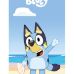 Πετσέτα μπάνιου Bluey Ocean, πετσέτα θαλάσσης 70x140cm (Γρήγορο στέγνωμα)