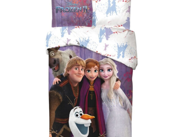 Σετ κλινοσκεπασμάτων Disney Frozen Magic Team 140x200εκ., 65x65 εκ.