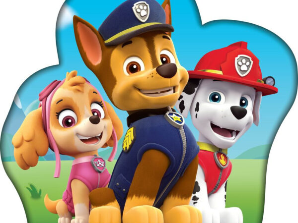 Διακοσμητικό μαξιλάρι Paw Patrol Troop 36x36 εκ.