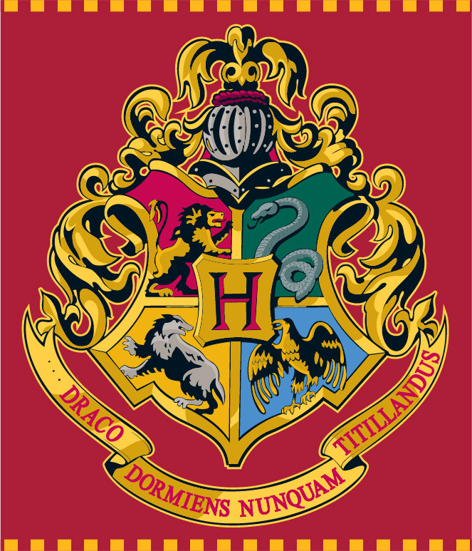EMM5248128 Κουβέρτα Harry Potter Red coral fleece, πολική 120x150cm - Image 1