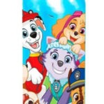 Μπουκάλι Αλουμινίου Paw Patrol Team 500 ml