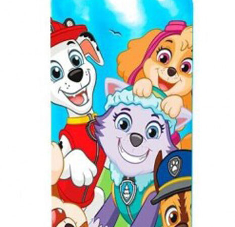 Μπουκάλι Αλουμινίου Paw Patrol Team 500 ml