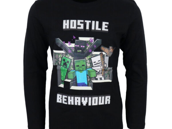 Παιδικό μπλουζάκι με μακριά μανίκια Minecraft, 6-12 ετών