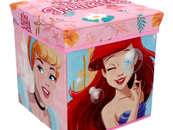 Αποθήκευση παιχνιδιών Disney Princess 30x30x30 εκ.