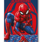 Ριχτάρι Spiderman Watching Eyes από πολικό φλις 100x140εκ.