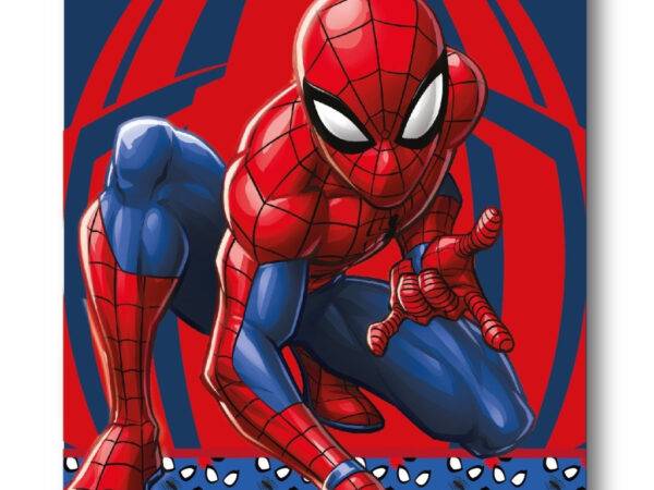 Ριχτάρι Spiderman Watching Eyes από πολικό φλις 100x140εκ.