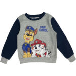 Σετ παιδικής φόρμας τζόκινγκ Paw Patrol Grey για αγόρια 2 - 8 ετών / 92 - 128 εκ. - Image 3