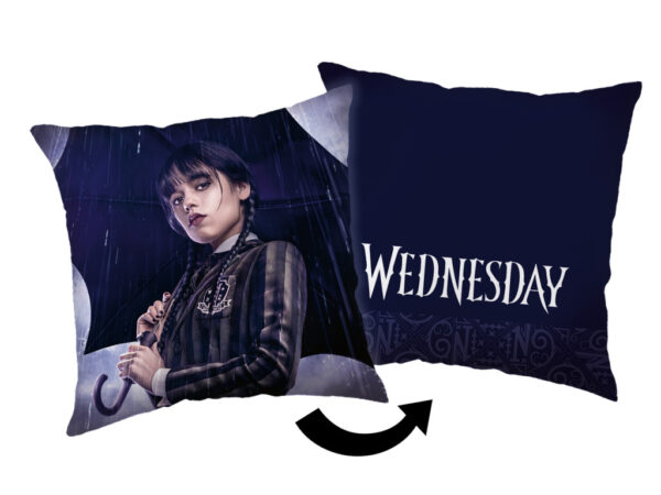 Μαξιλαροθήκη Wednesday Rain 40x40 εκ.