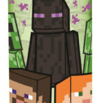 Μπουκάλι νερού Minecraft Hydro tritan 540 ml